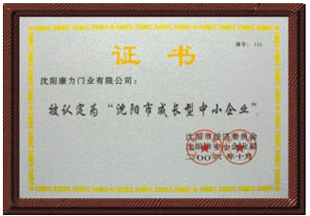 荣誉资质