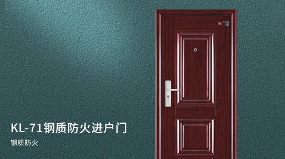钢质防火进户门系列